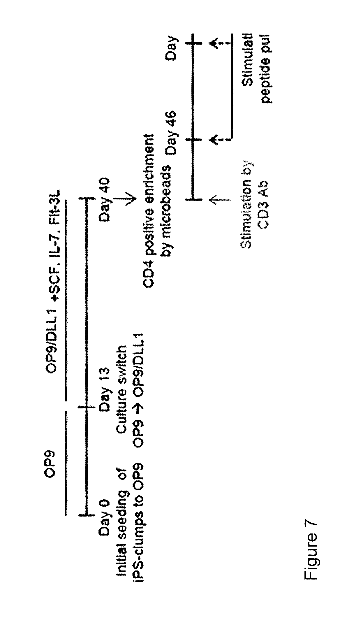 Method for inducing antigen specific cd8 positive t cells