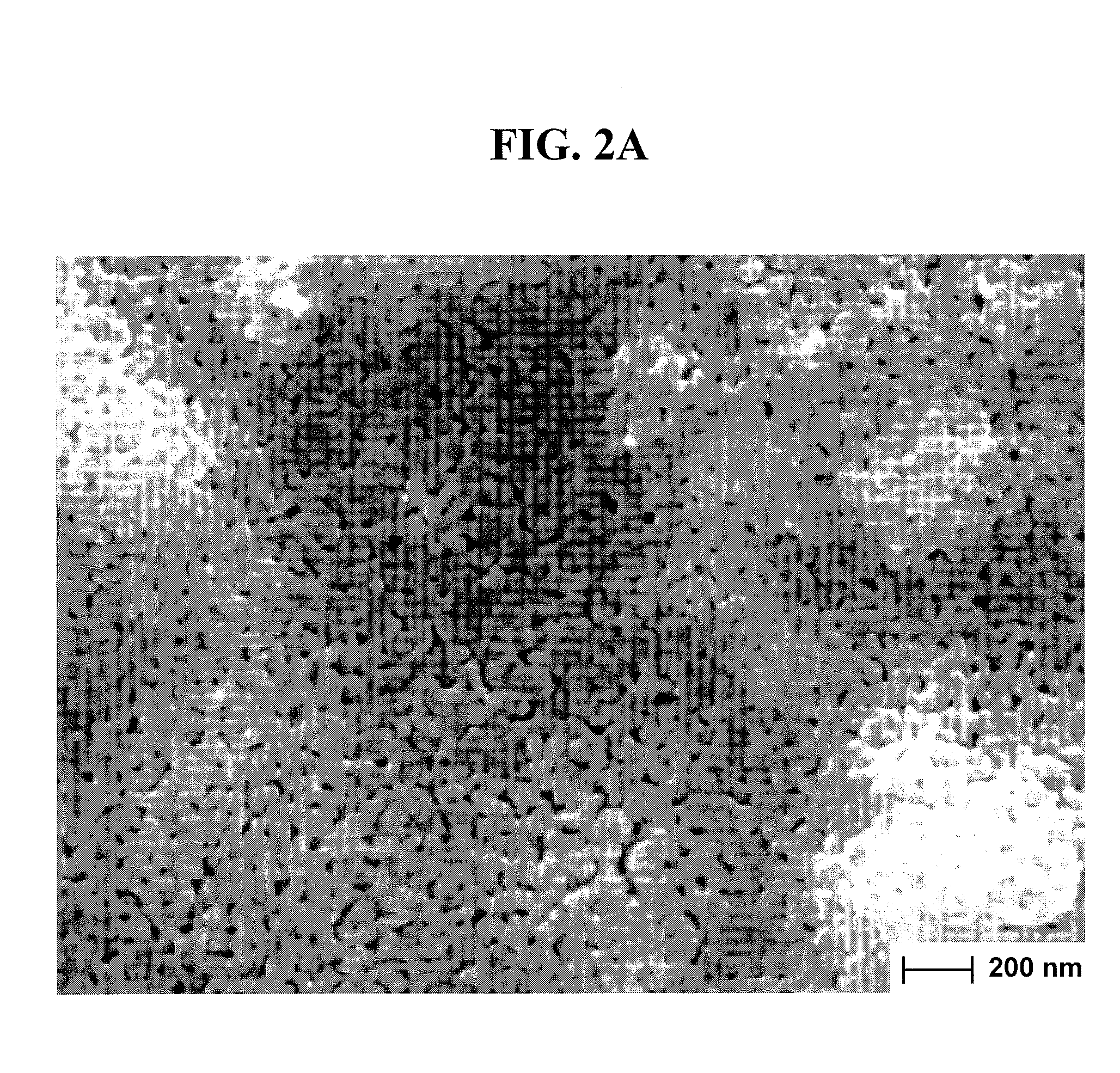 Method for preparing metal oxide sol, method for preparing metal oxide thin film using said sol, and solid oxide fuel cell comprising said thin film