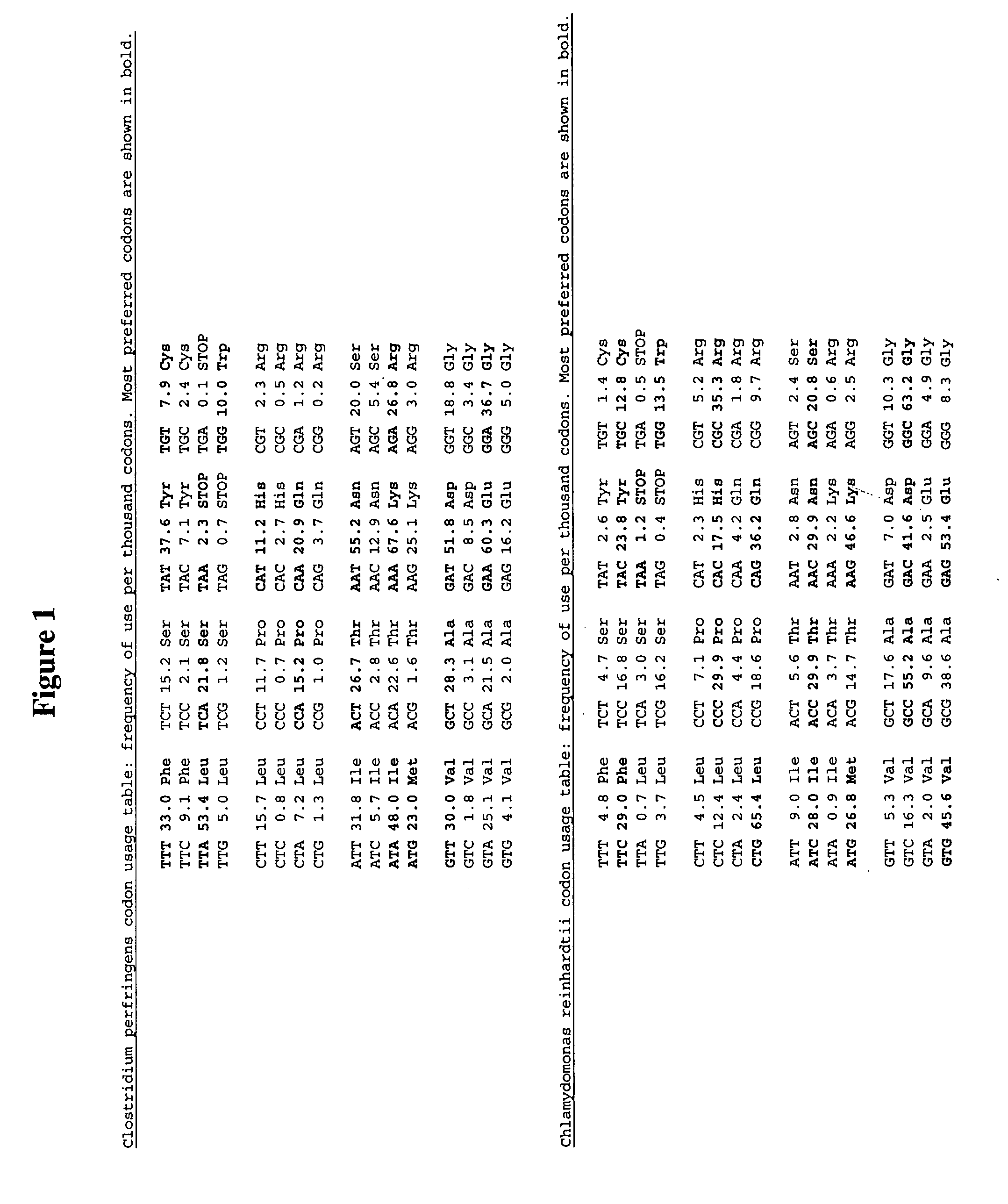 Methods and compositions for evolving hydrogenase genes