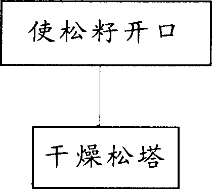 Pinecone food and its making method