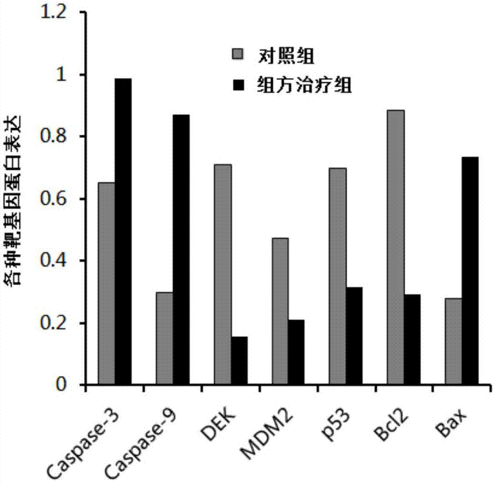 Traditional Chinese medicine composition for treating liver cancer and preparation method and application thereof