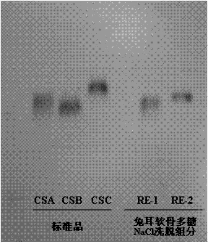 Method for preparing high-purity chondroitin sulfate A from rabbit ear cartilage