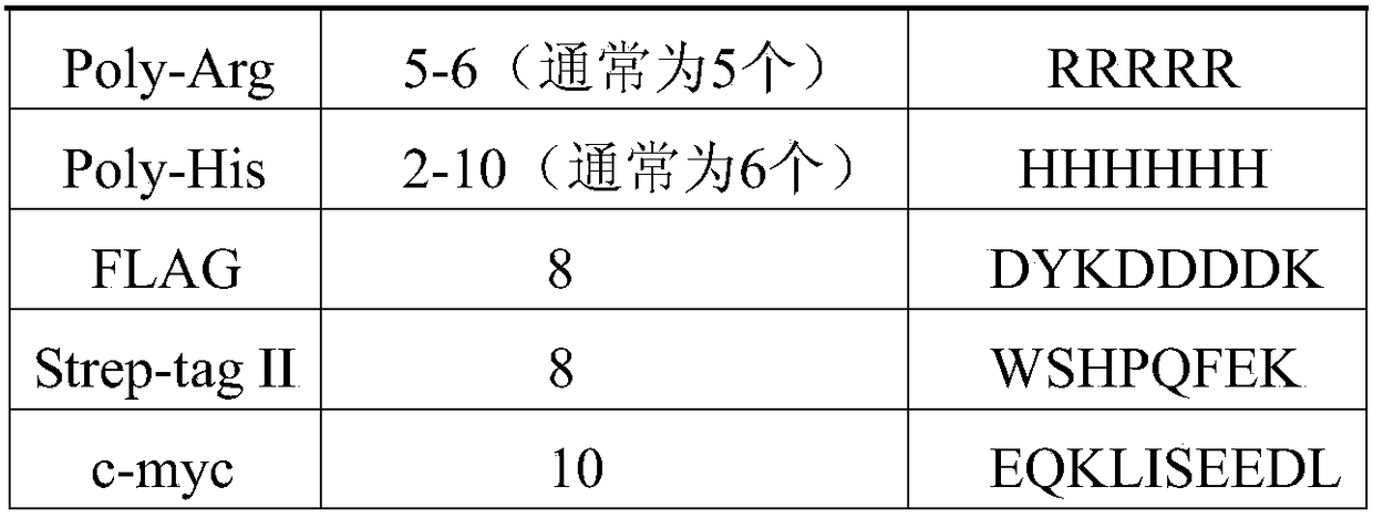 Oedaleus decorus asiaticus lactase-phlorizin hydrolase (LPH) as well as coding gene and application thereof