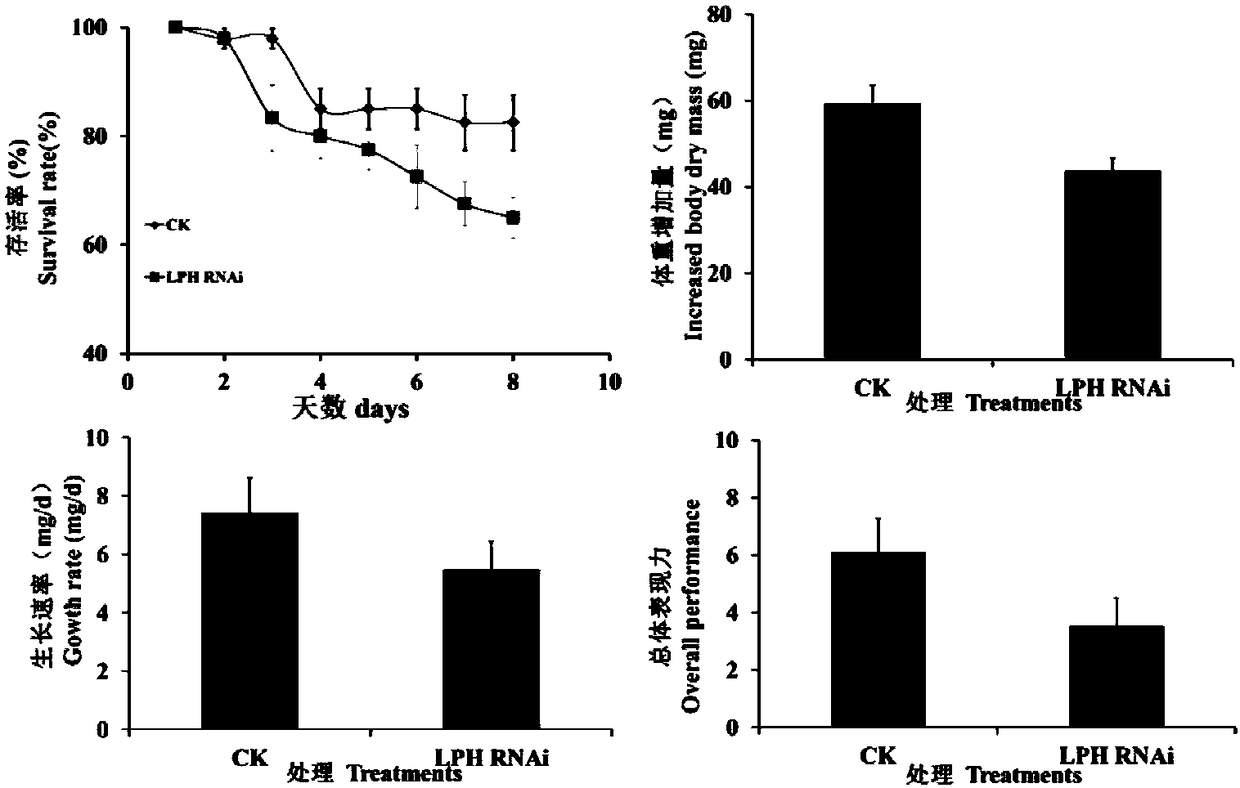 Oedaleus decorus asiaticus lactase-phlorizin hydrolase (LPH) as well as coding gene and application thereof