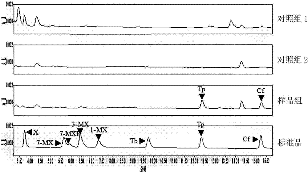 Recombinant gene engineering bacteria producing theophylline and caffeine, and construction method and application of same