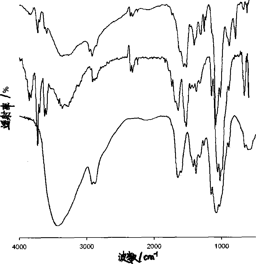 Method for preparing rotenone/carboxymethyl chitosan grafting ricinoleic acid nanometer grain water dispersing agent