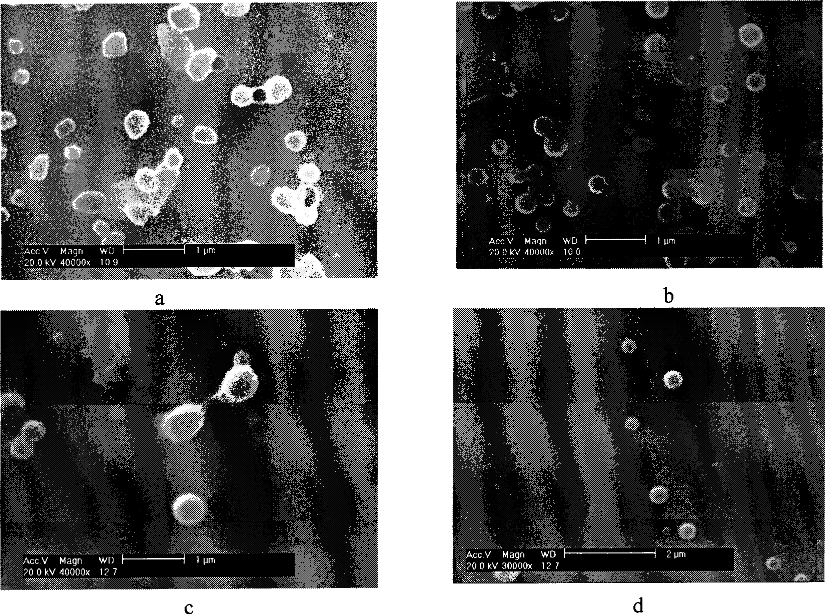 Method for preparing rotenone/carboxymethyl chitosan grafting ricinoleic acid nanometer grain water dispersing agent