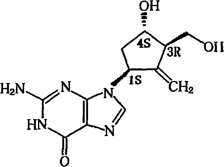 Entecavir injection