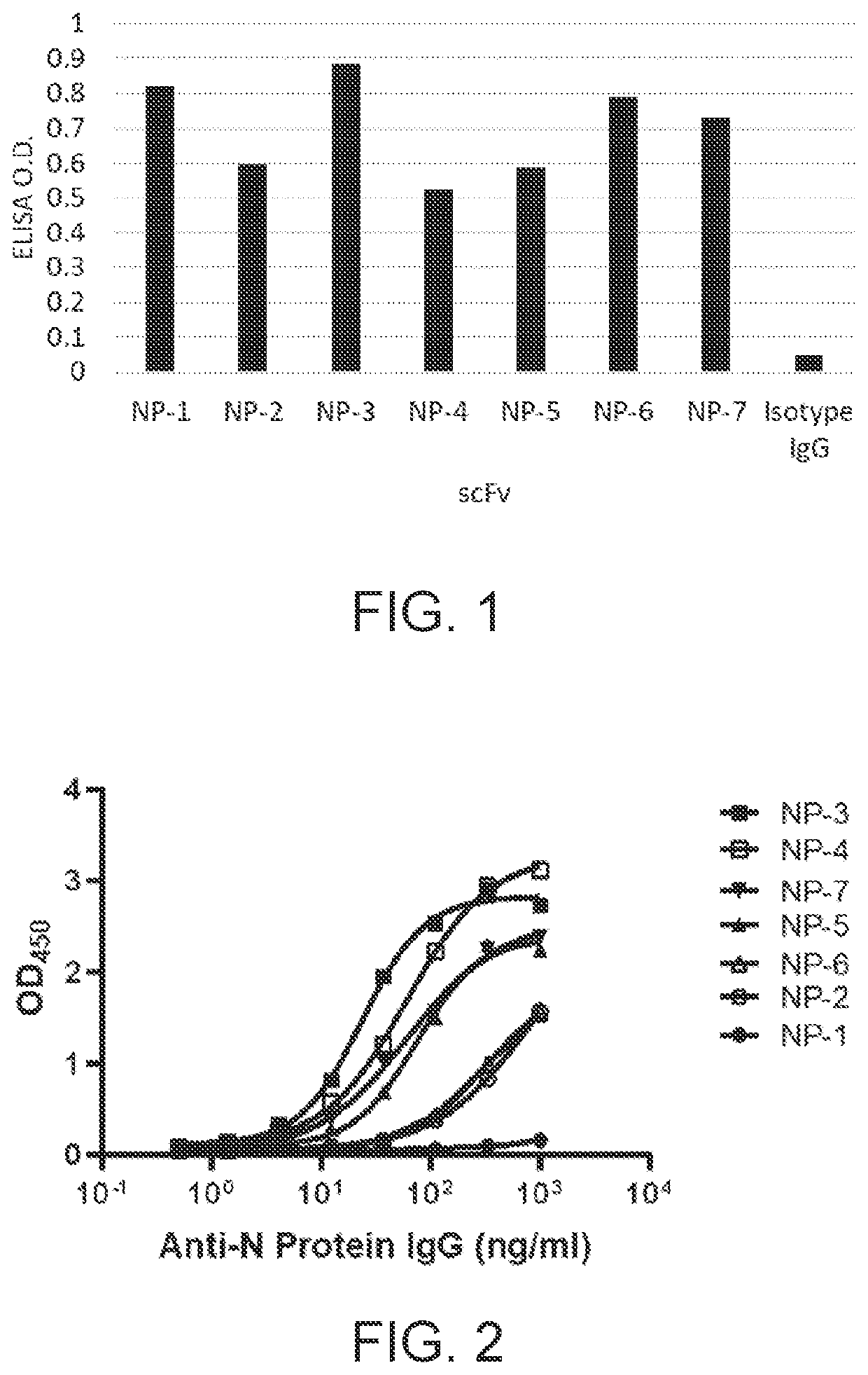 Recombinant antibodies, kits comprising the same, and uses thereof