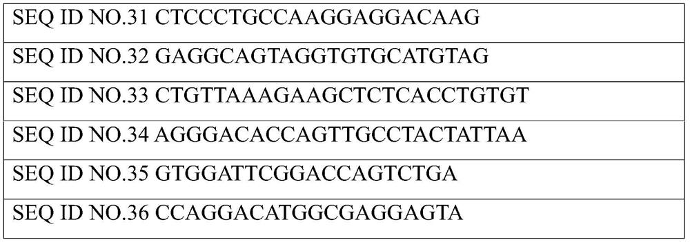 Kit for detecting mutation sites of 18 genes related to sensitivity to radiotherapy and chemotherapy of rectal cancer and its application