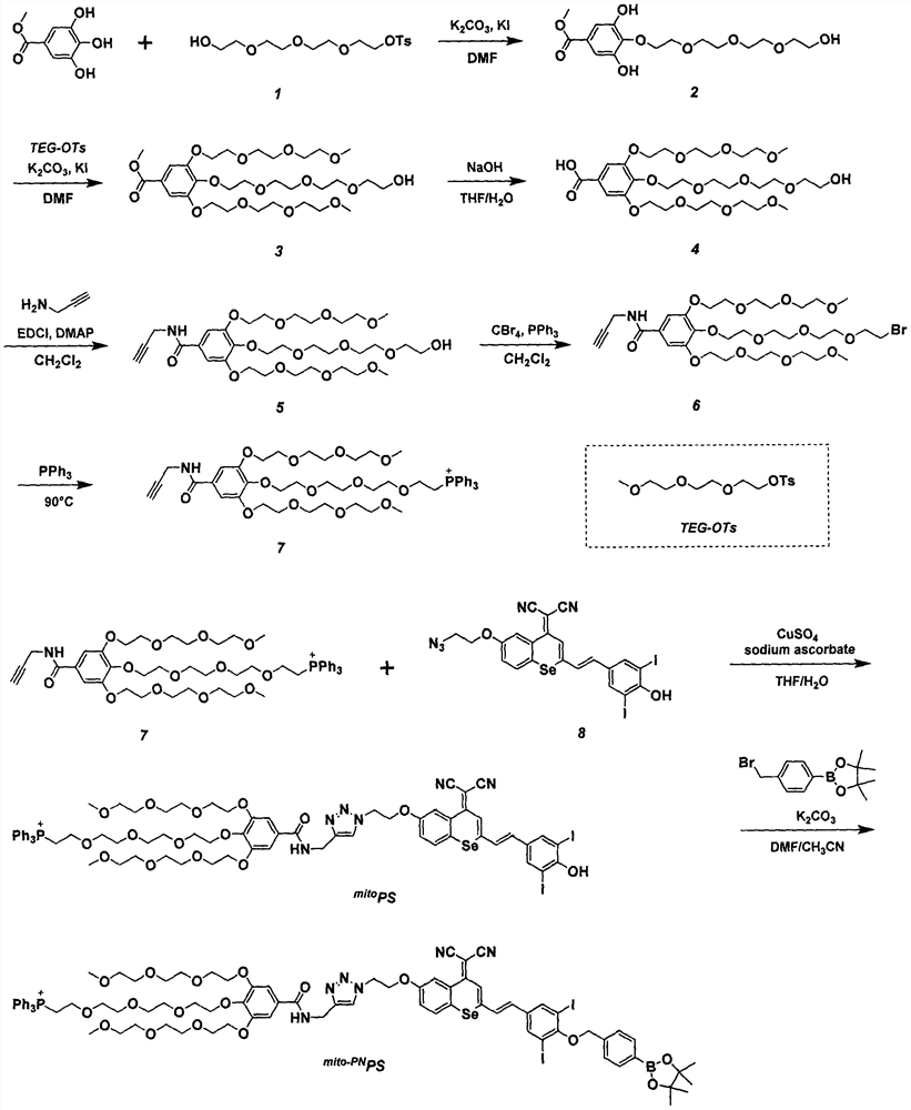 Preparation and application of a mitochondria-targeted stimulus-responsive photosensitizer