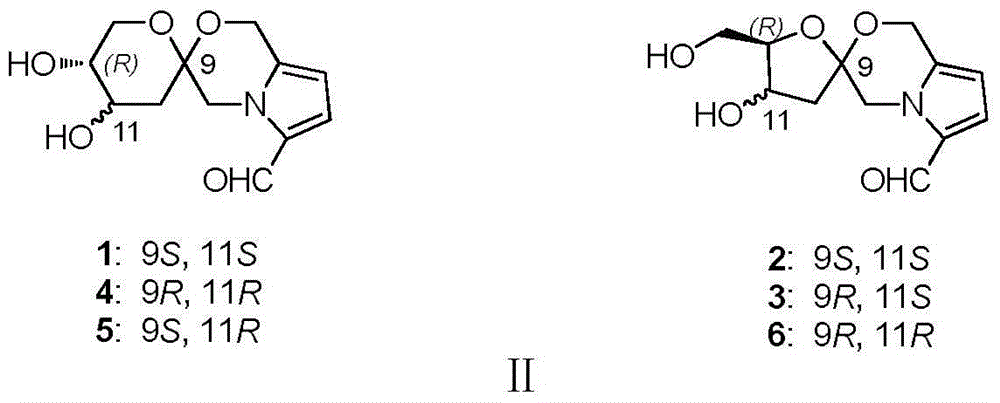 Pyrrole and morpholine spirocyclic alkaloid compound and preparation method and application thereof