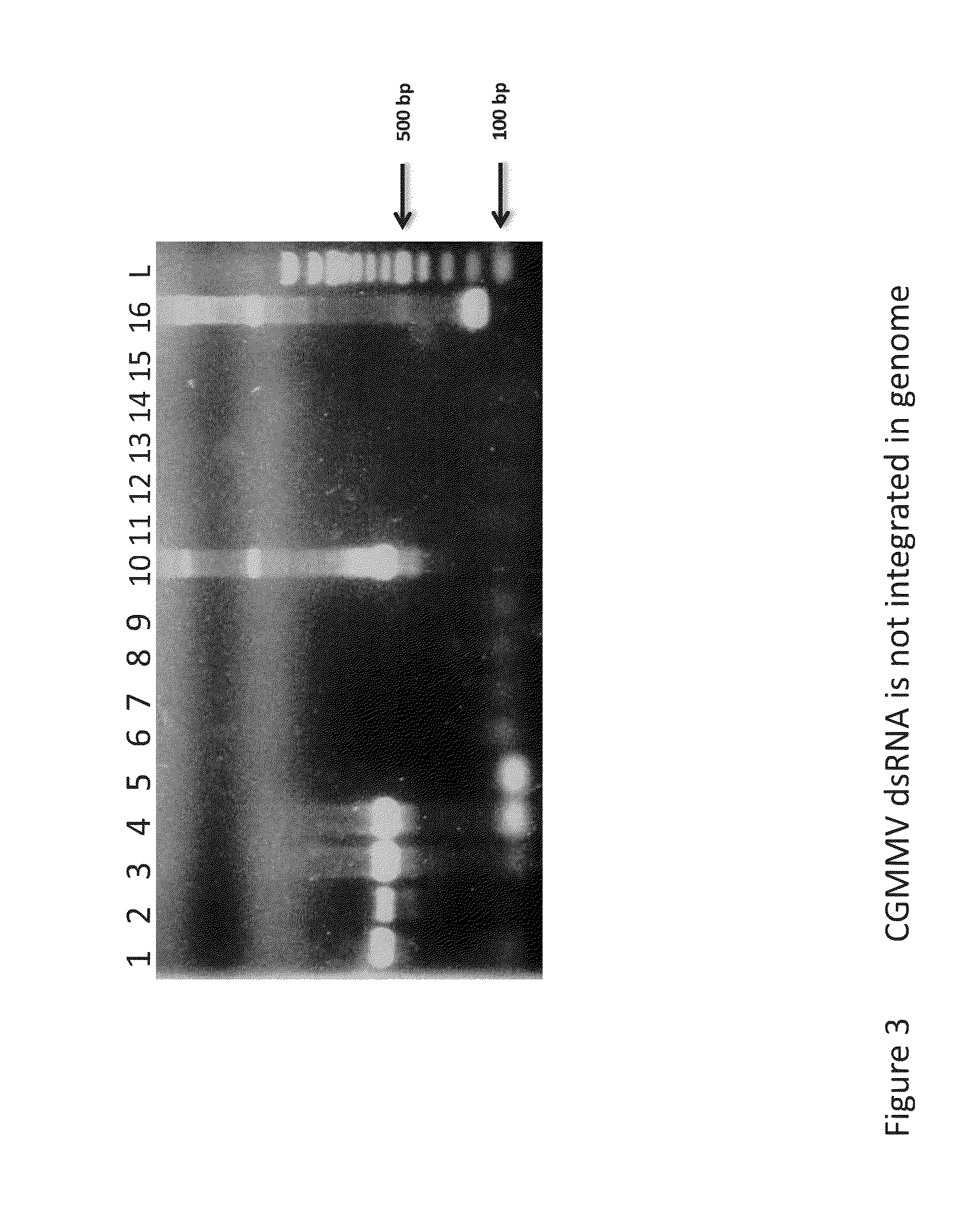 Compositions and methods for silencing gene expression