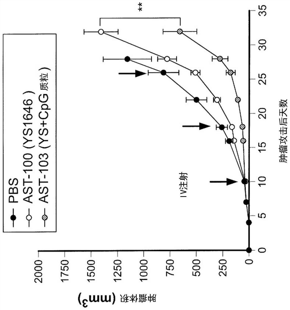 Engineered immunostimulatory bacterial strains and uses thereof