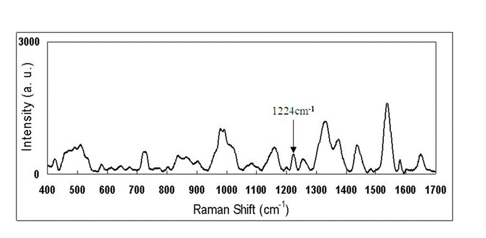 Laser-Raman spectrum method for rapidly detecting content of Sudan red I in chili powder