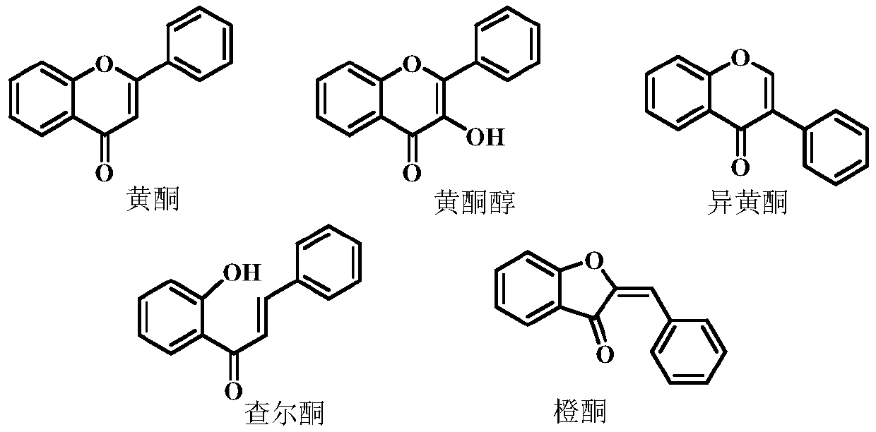 A kind of flavonoid compound and its preparation method and application