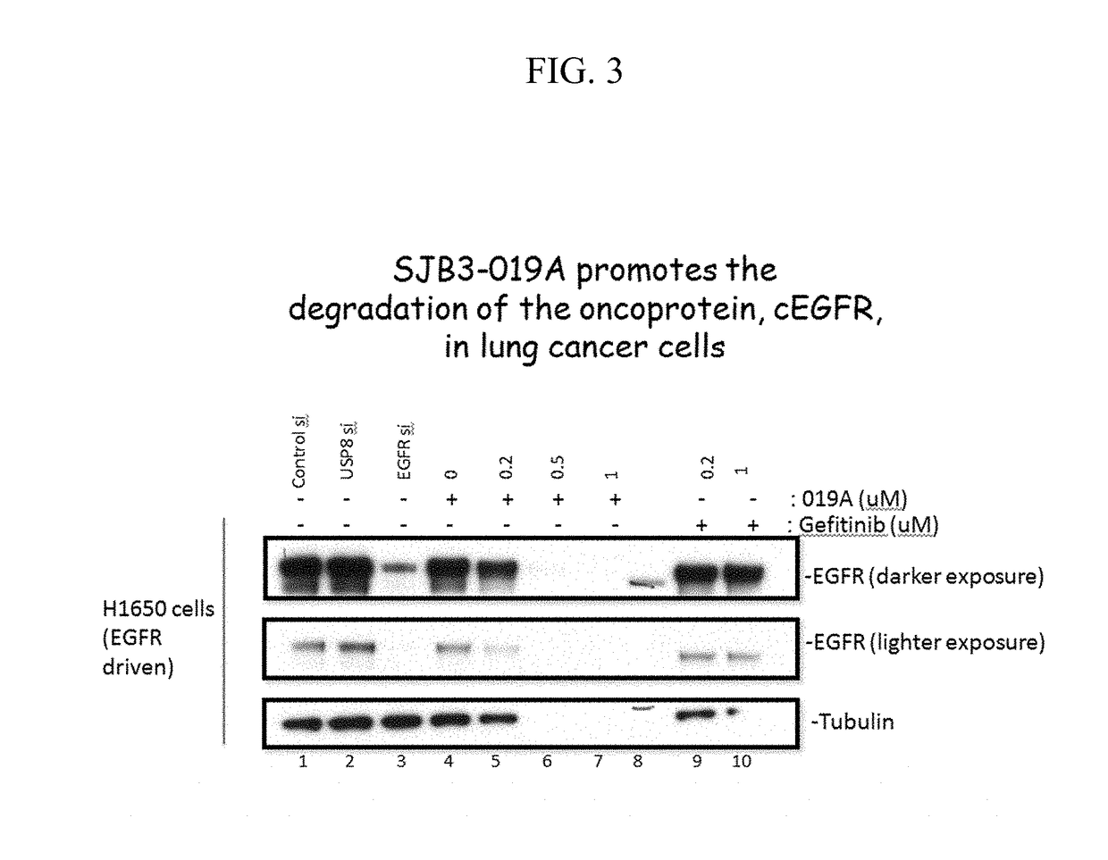 Compounds and methods for treating cancer