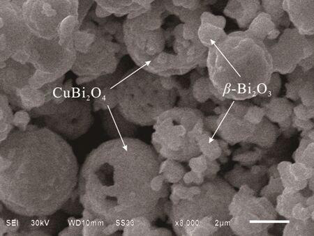 A kind of visible light responsive composite photocatalyst and its preparation method and application