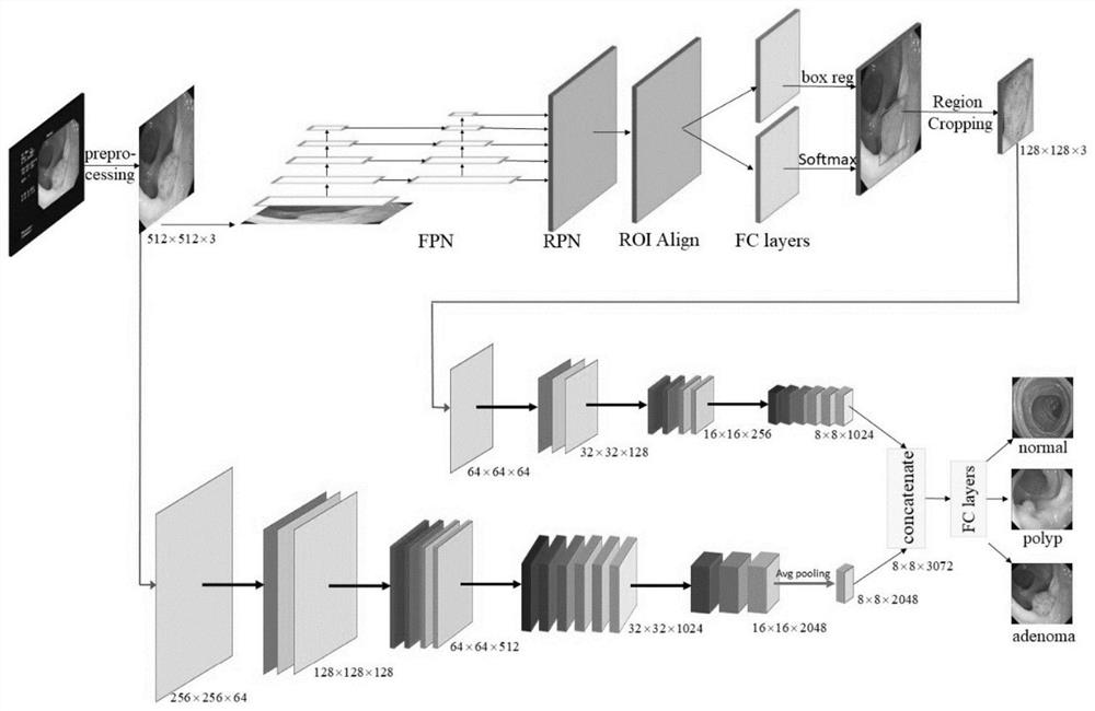 A Method for Detection and Classification of Lesion Areas in Clinical Images