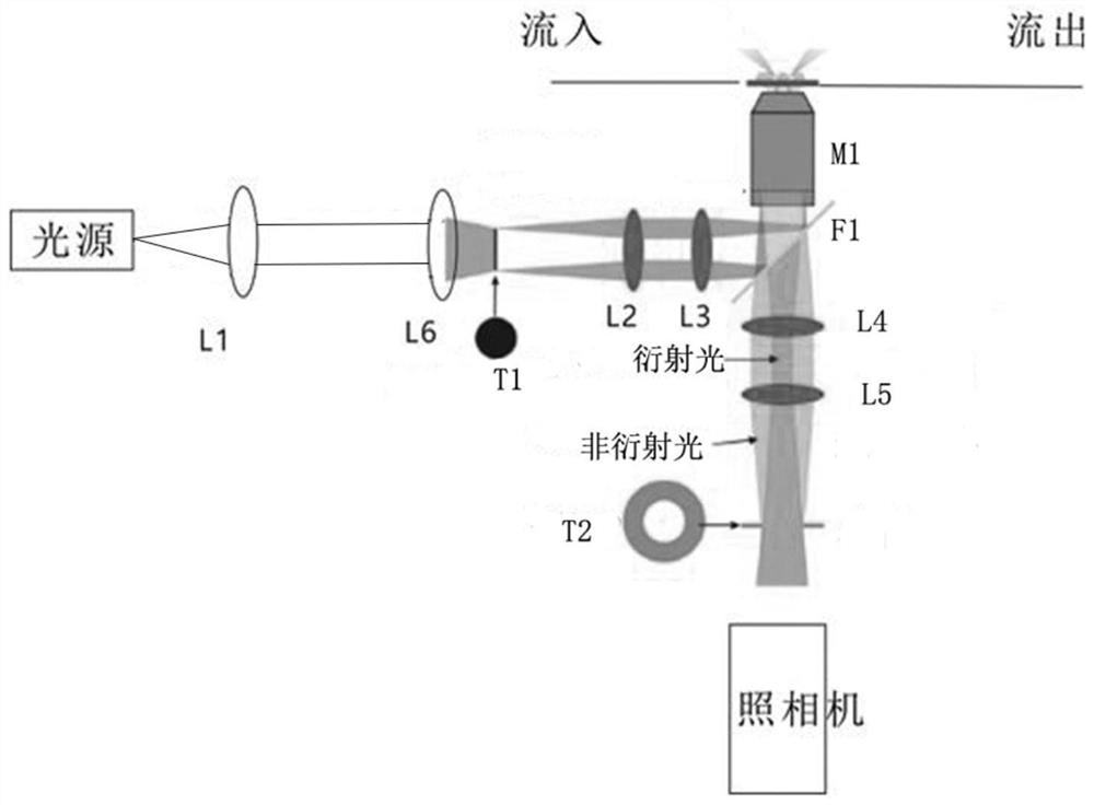 Algae cell counting detection system and detection method thereof