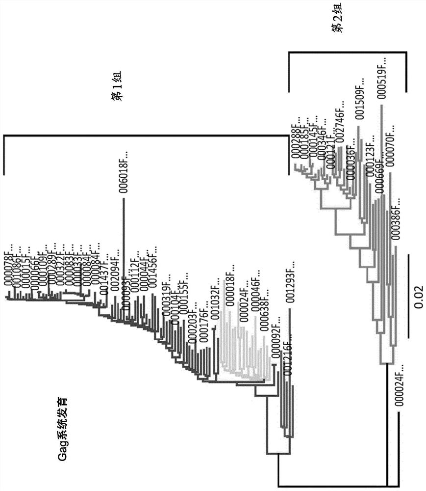 Characterization and inactivation of endogenous retroviruses in chinese hamster ovary cells