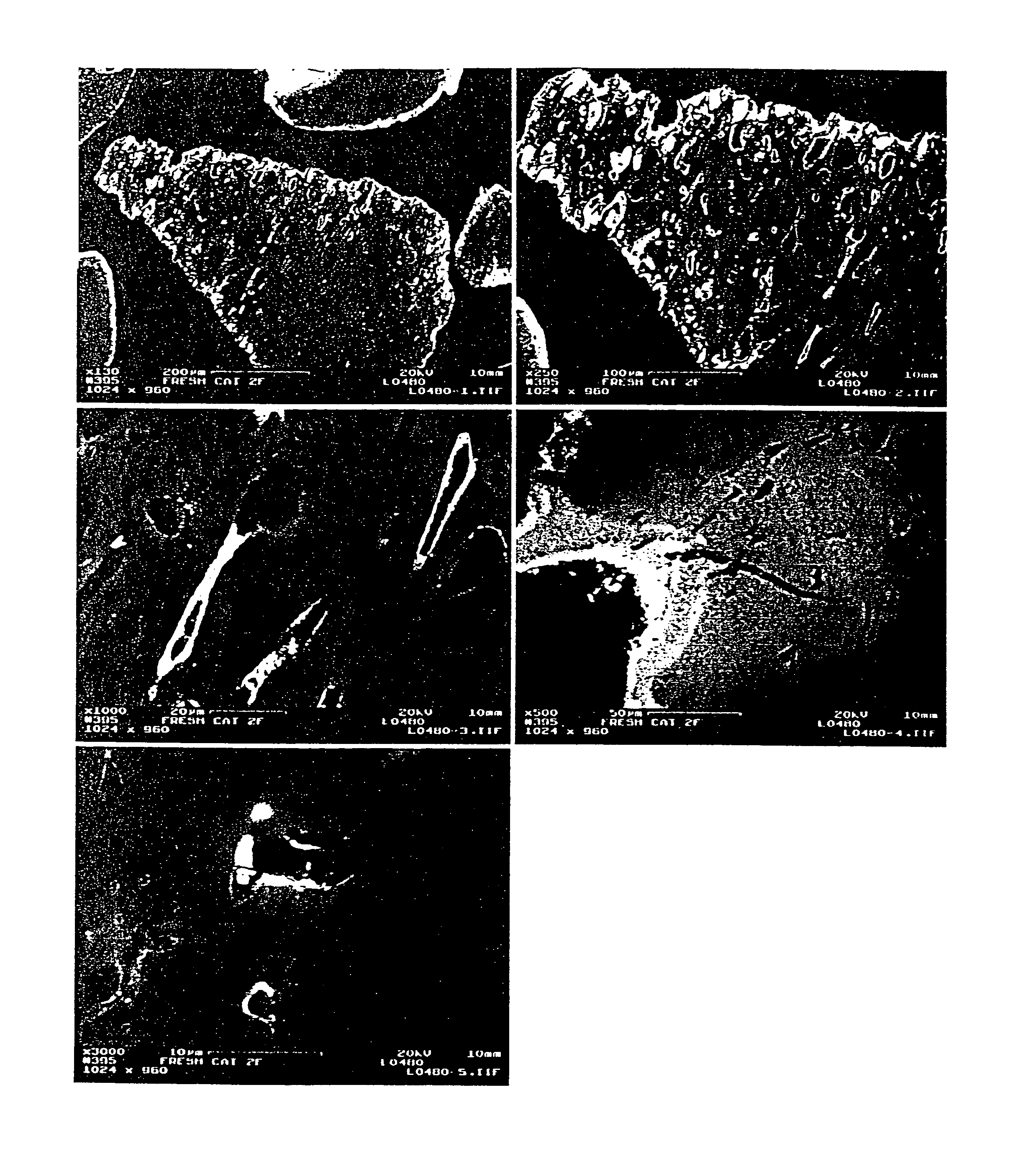 Textured catalysts and methods of making textured catalysts