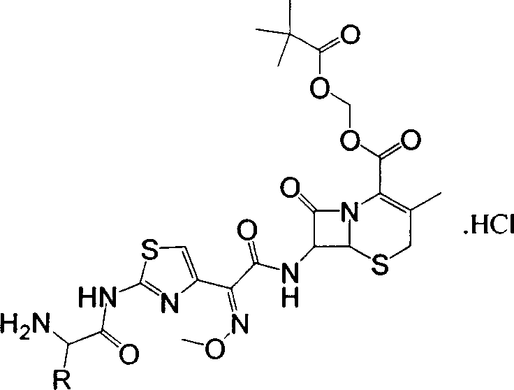 Compound of dual functional esterified prodrug of Cefetamet, and oral preparation