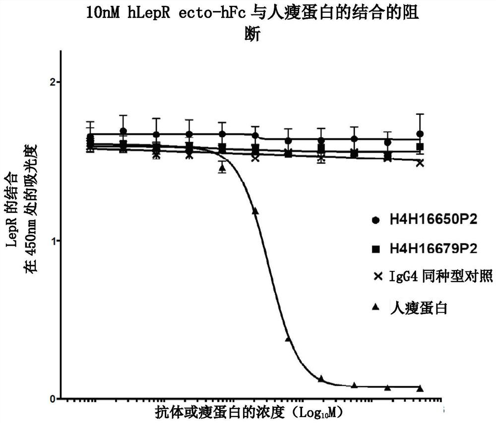 Leptin receptor agonist antibody for use in treating metabolic dysfunction or hypoleptinemia