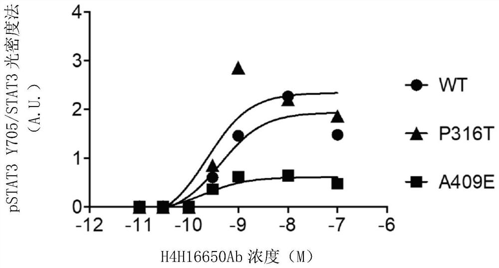 Leptin receptor agonist antibody for use in treating metabolic dysfunction or hypoleptinemia