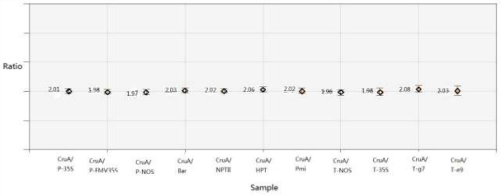 A transgenic rapeseed sd-rapeseed that aggregates commonly used screening targets and its application