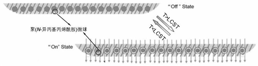 A kind of temperature-controlled drug delivery microbubble patch and preparation method thereof