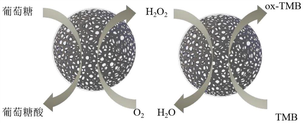 Preparation method and application of nano-enzyme for colorimetric detection of glucose