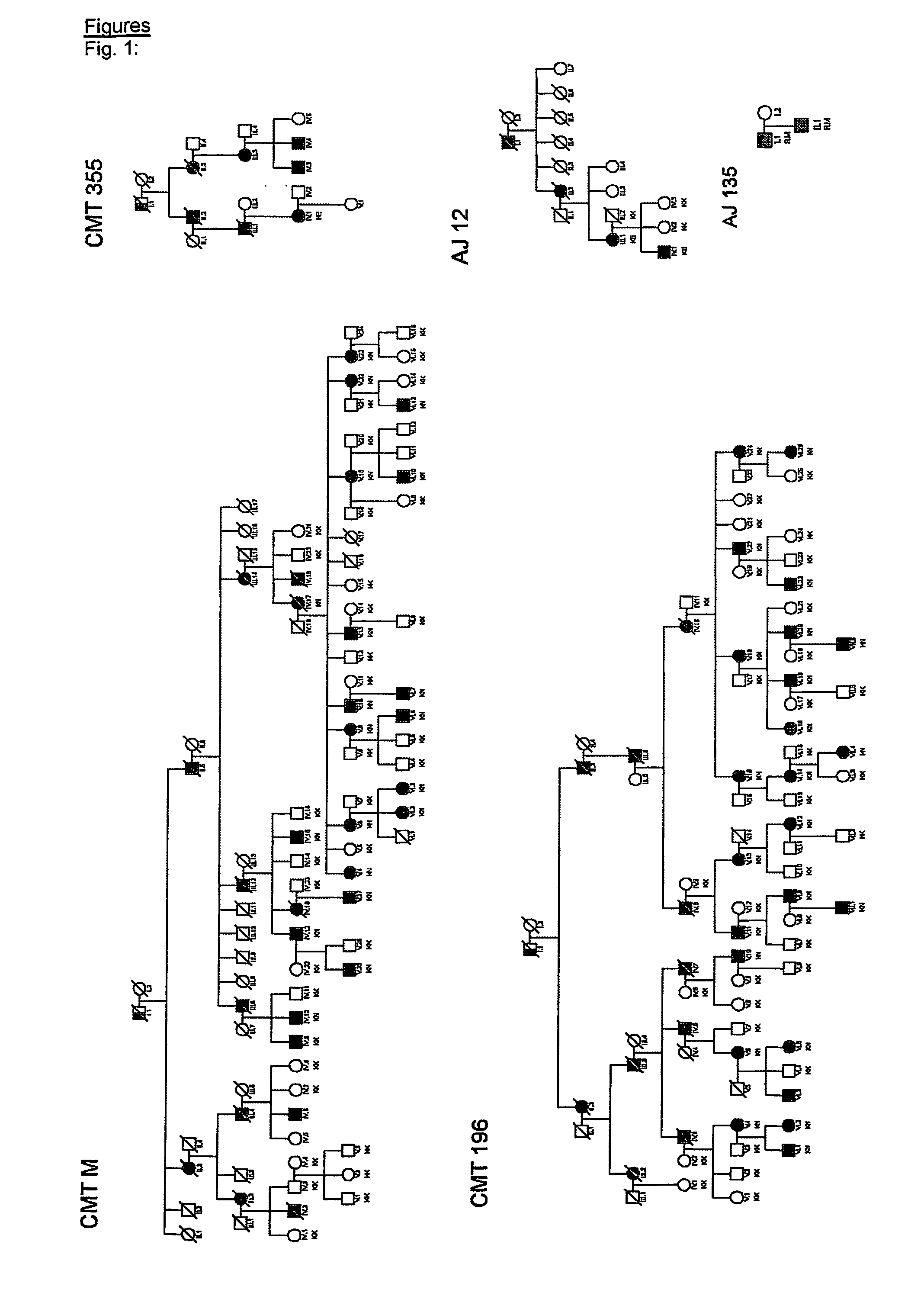 Diagnostic tests for the detection of motor neuropathy