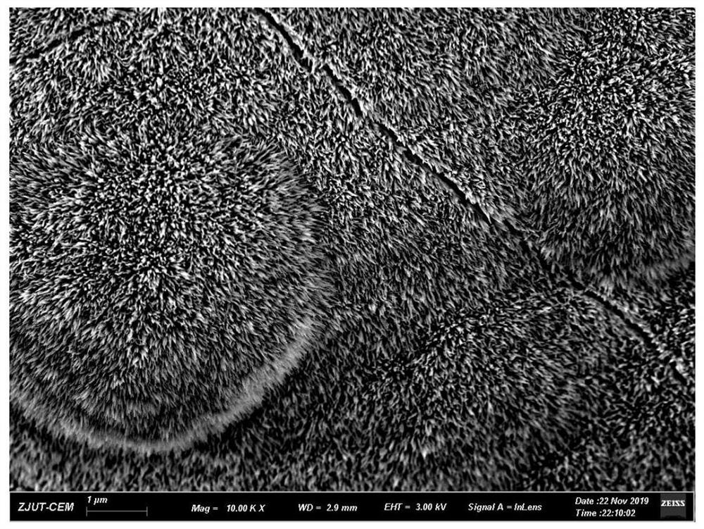 A preparation method of nickel-cobalt-manganese hydroxide nanoneedle/nitrogen-doped carbon/nickel foam electrode material