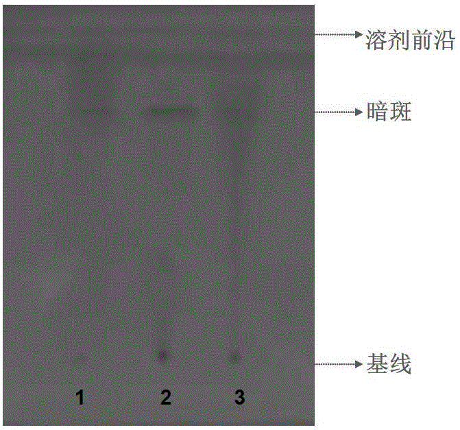 Process for extracting indoline amide alkaloid from purslane and detection methods for indoline amide alkaloid