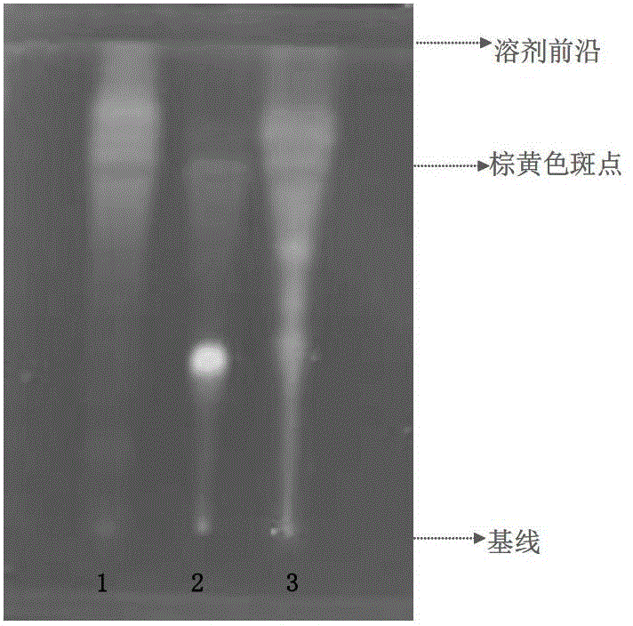 Process for extracting indoline amide alkaloid from purslane and detection methods for indoline amide alkaloid