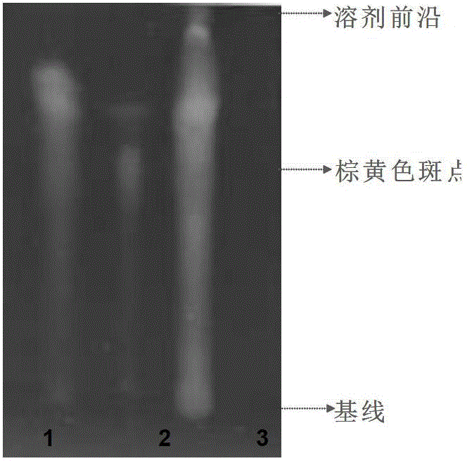 Process for extracting indoline amide alkaloid from purslane and detection methods for indoline amide alkaloid