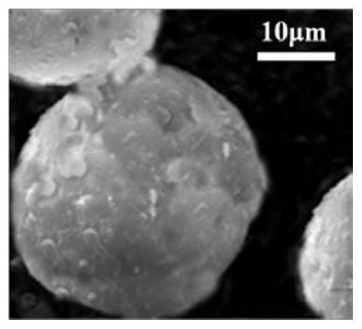 Hydrogel immobilized microorganism preservation method