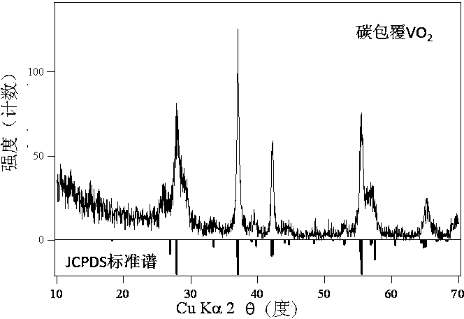 Carbon-coated vanadium dioxide nanoparticles and preparation method thereof