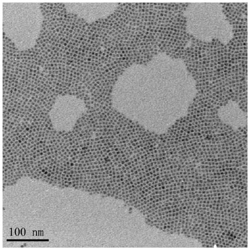 A method for detecting metal ions in solution using perovskite nanocrystal-based metal ion sensors