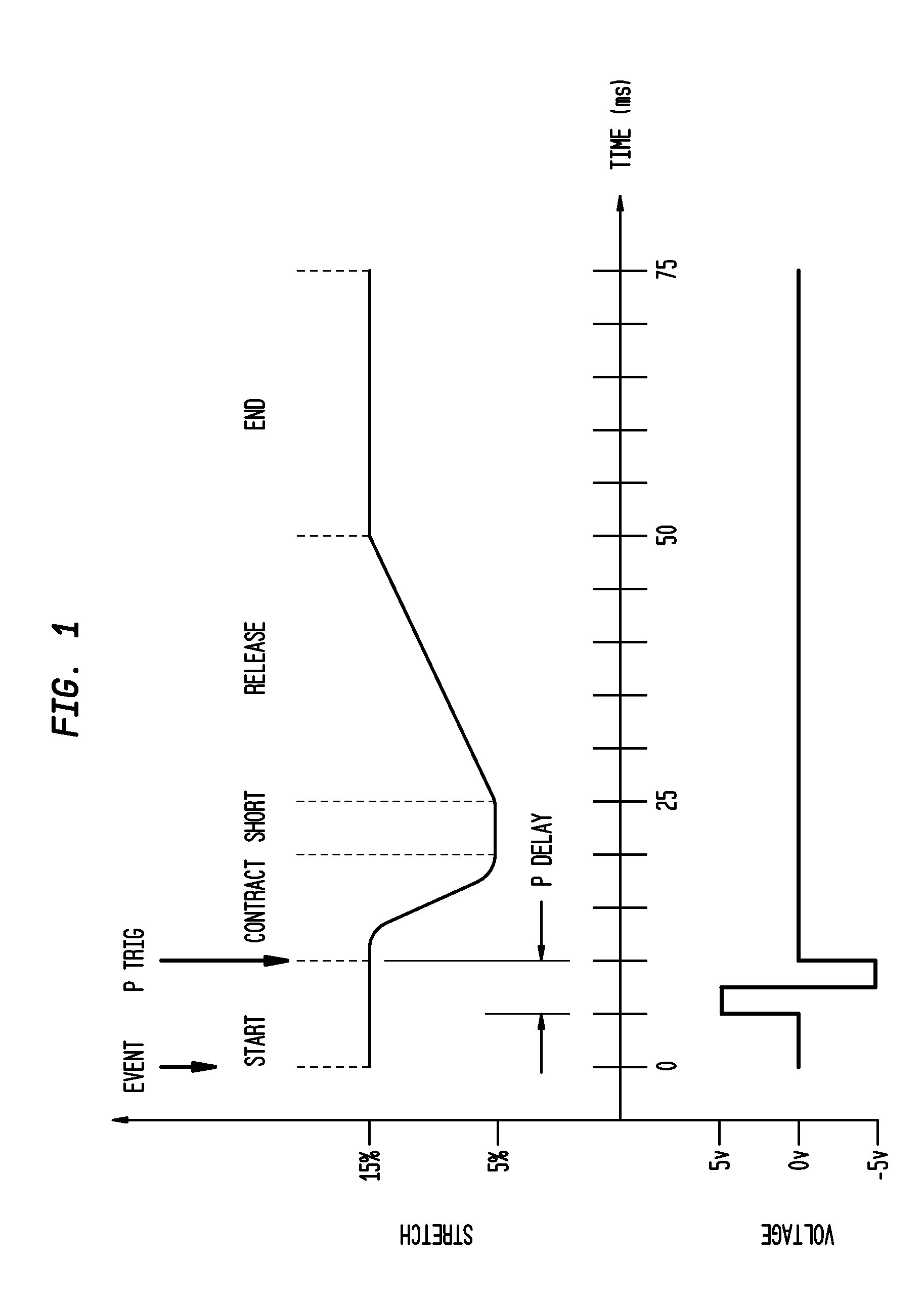 Apparatus and Method for Culturing Cells and Tissue