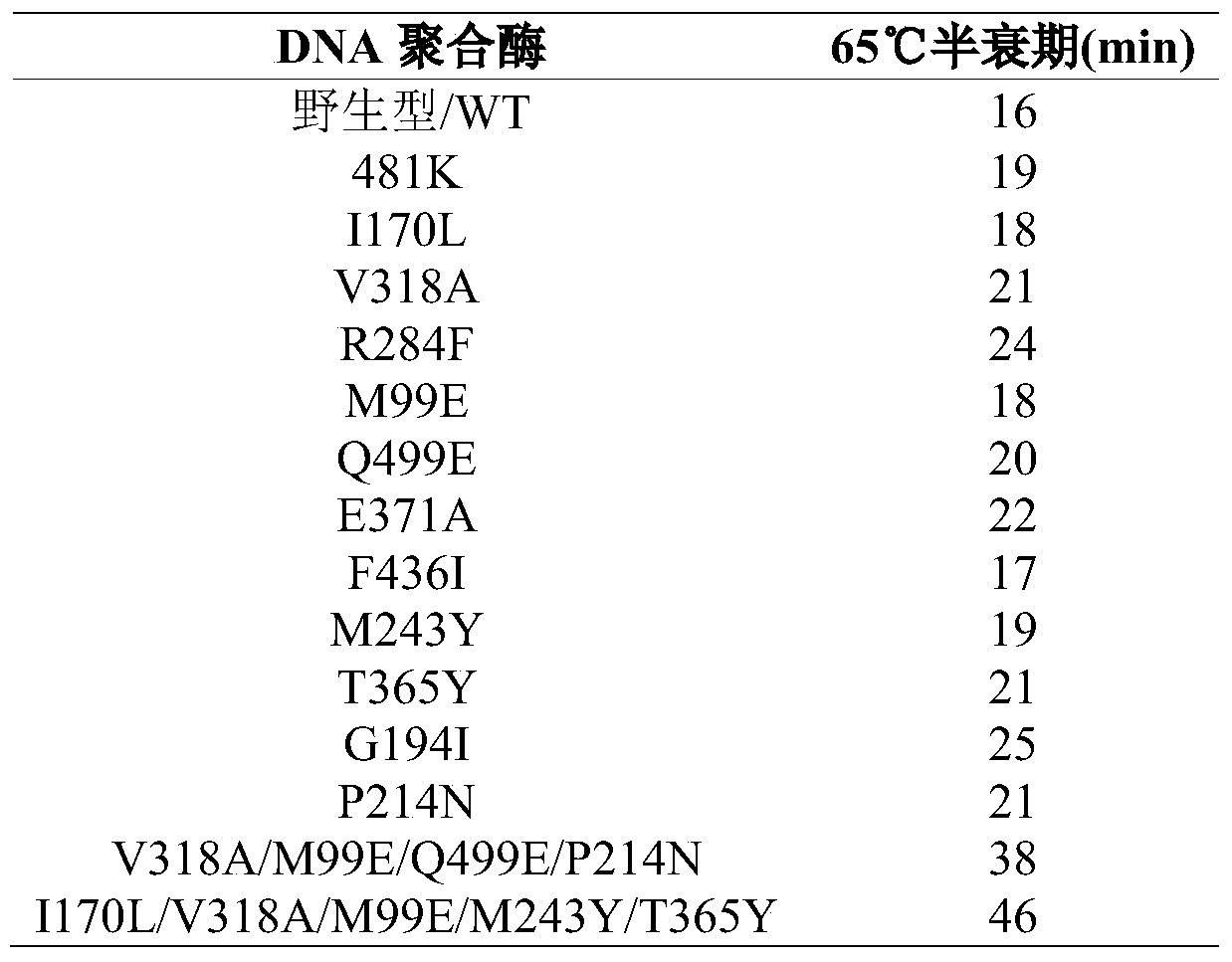 DNA polymerase mutant with improved thermal stability, and construction method and application thereof