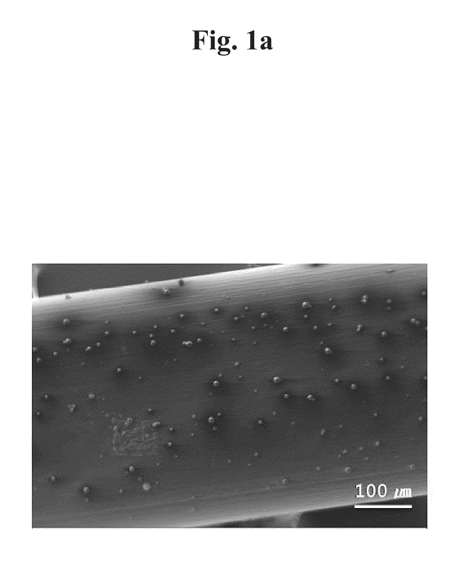 Method for preparing polymeric biomaterials having immobilized drug delivery system comprising bioactive molecules loaded particle carrier