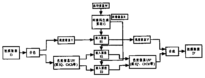 Digital video frequency watermark method based on error correcting code