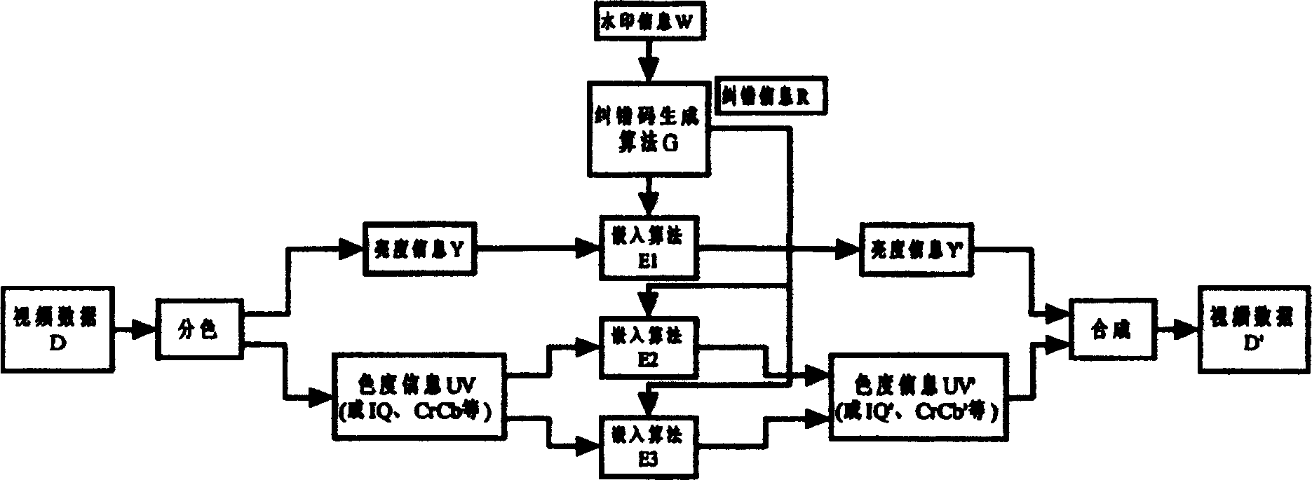 Digital video frequency watermark method based on error correcting code