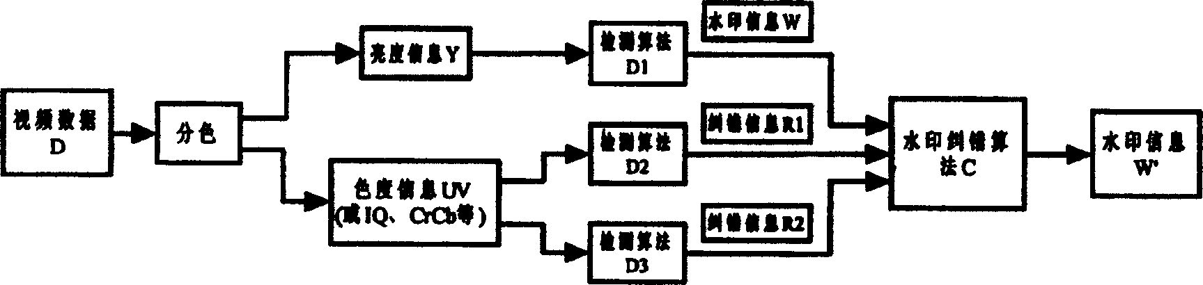 Digital video frequency watermark method based on error correcting code