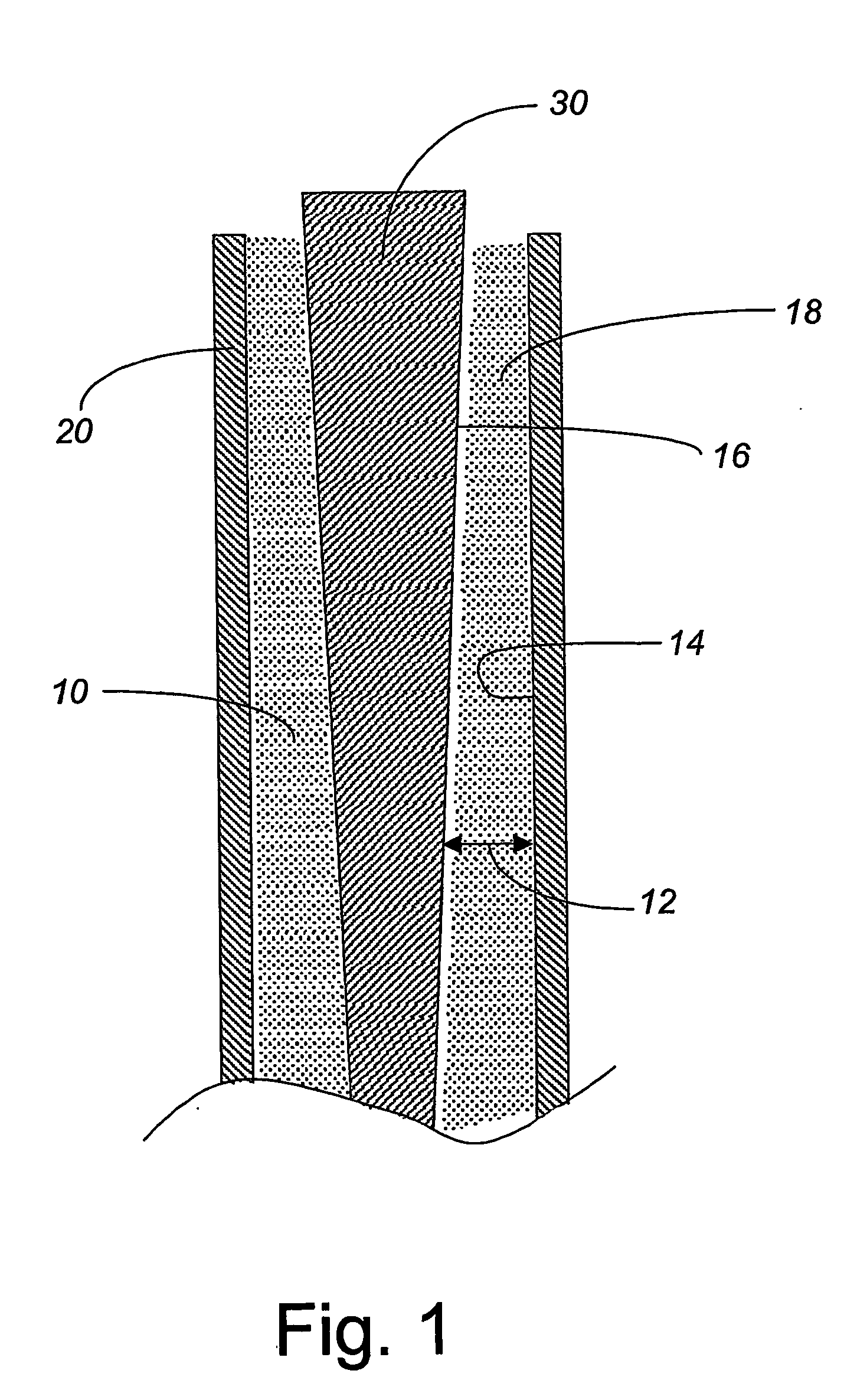 Composition and method for inducing bone growth and healing