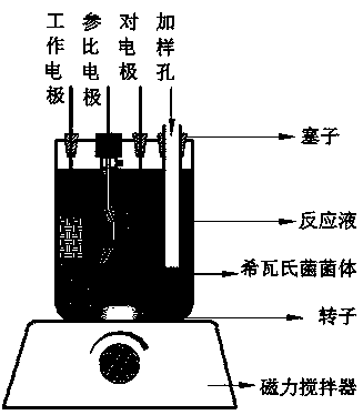 Biological electrochemical detection method of fumaric acid