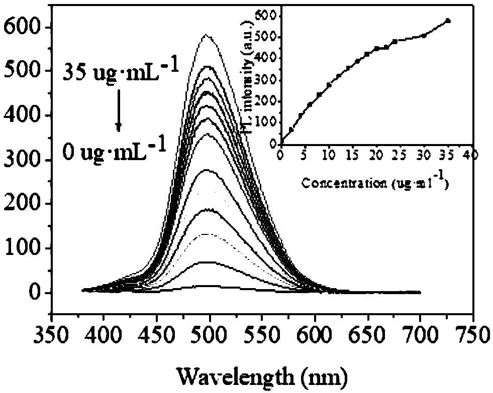 Green fluorescent quantum dot and preparation method and application thereof in copper ion detection