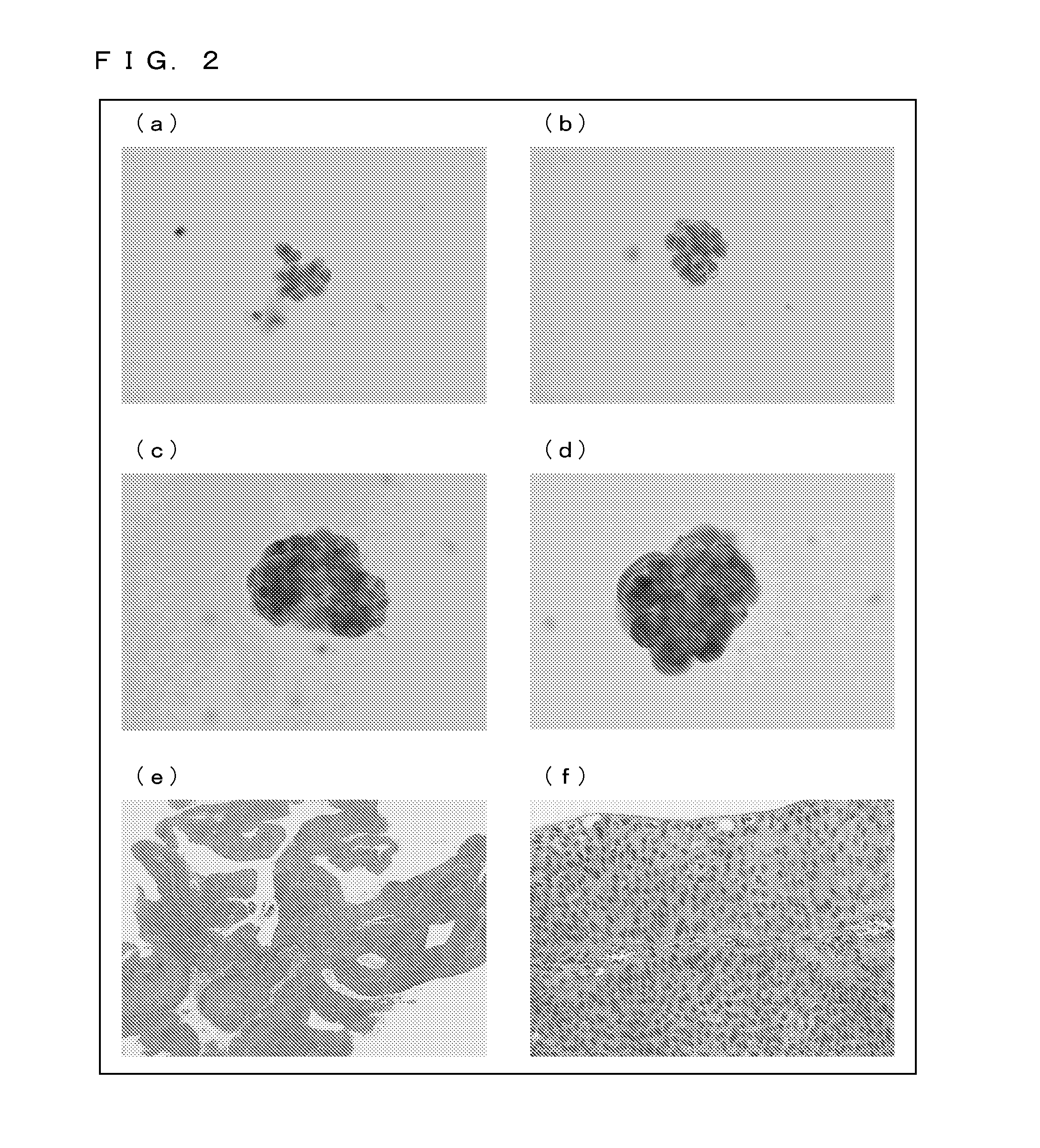 Novel cancer marker and utilization thereof